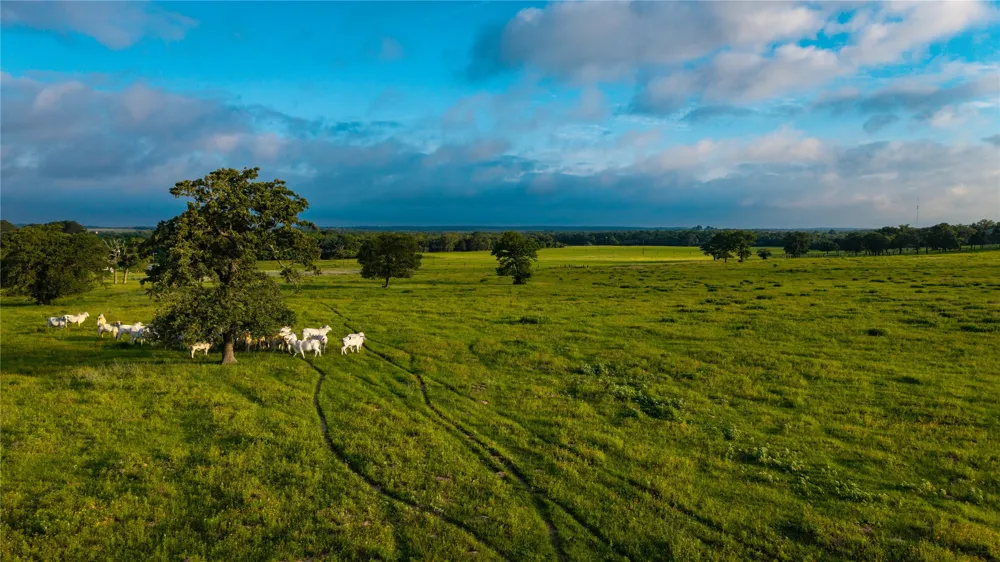 Hofferek Road Rosanky, TX 78953