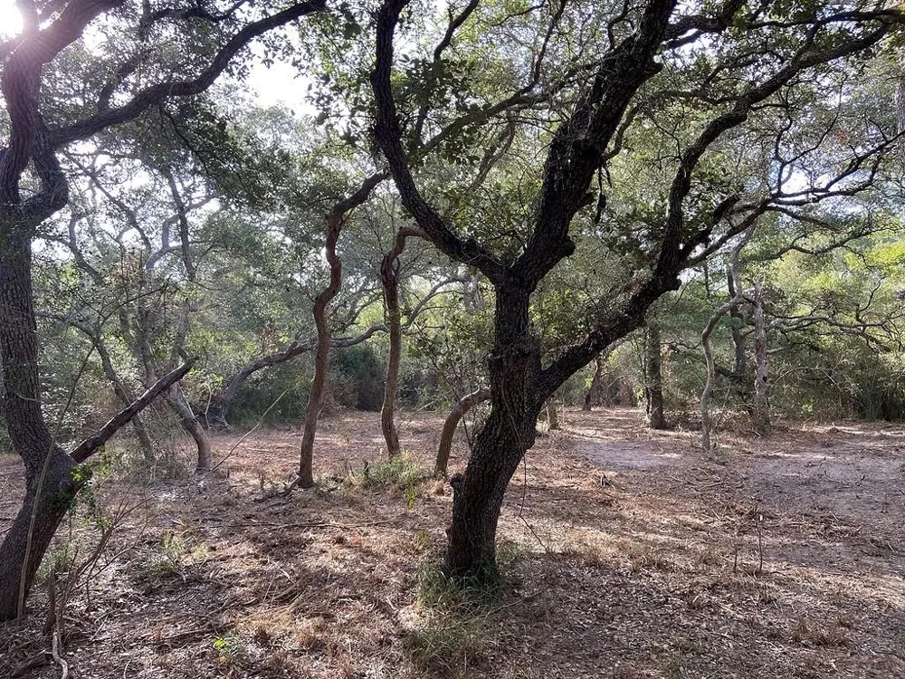 11 Loose Cow Rd Garwood, TX 77442