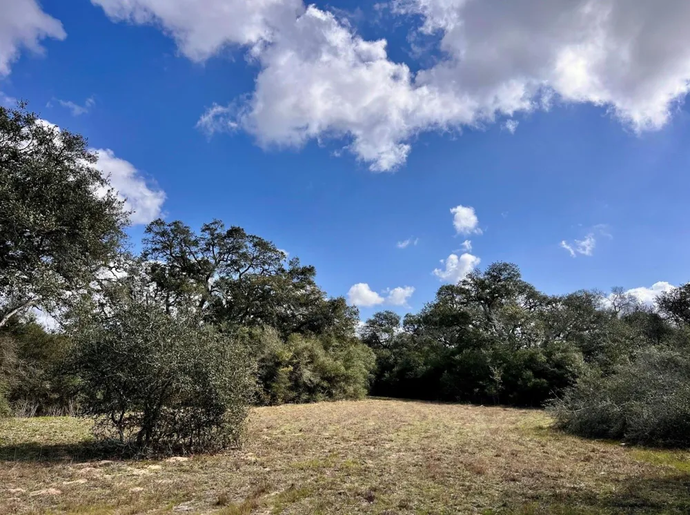 11 Loose Cow Rd Garwood, TX 77442