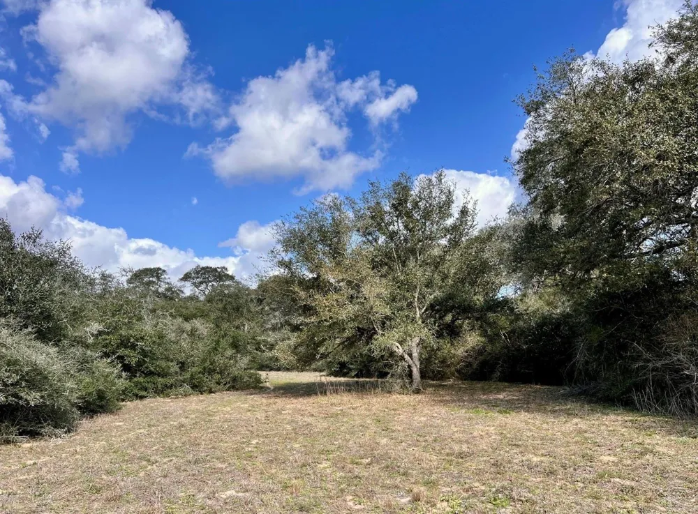 11 Loose Cow Rd Garwood, TX 77442
