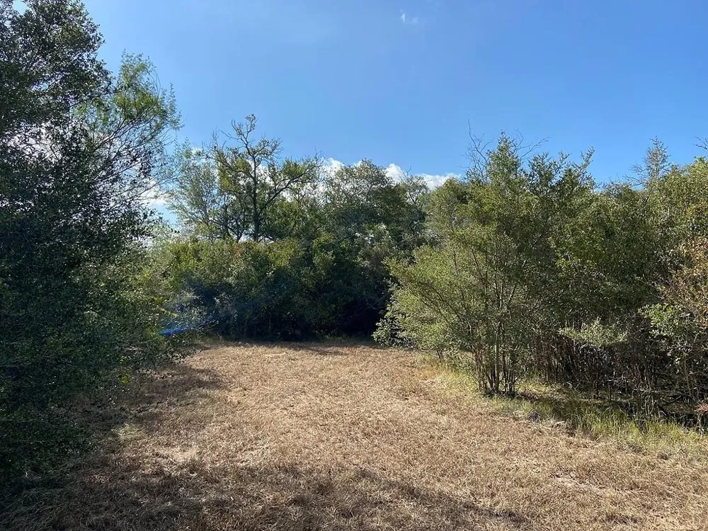 11 Loose Cow Rd Garwood, TX 77442
