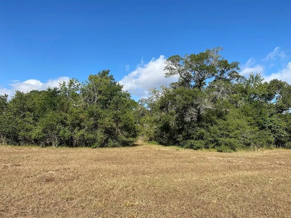 11 Loose Cow Rd Garwood, TX 77442