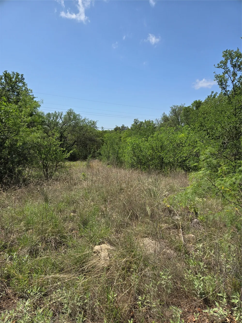 7143 Dillard Drive Brownwood, TX 76801