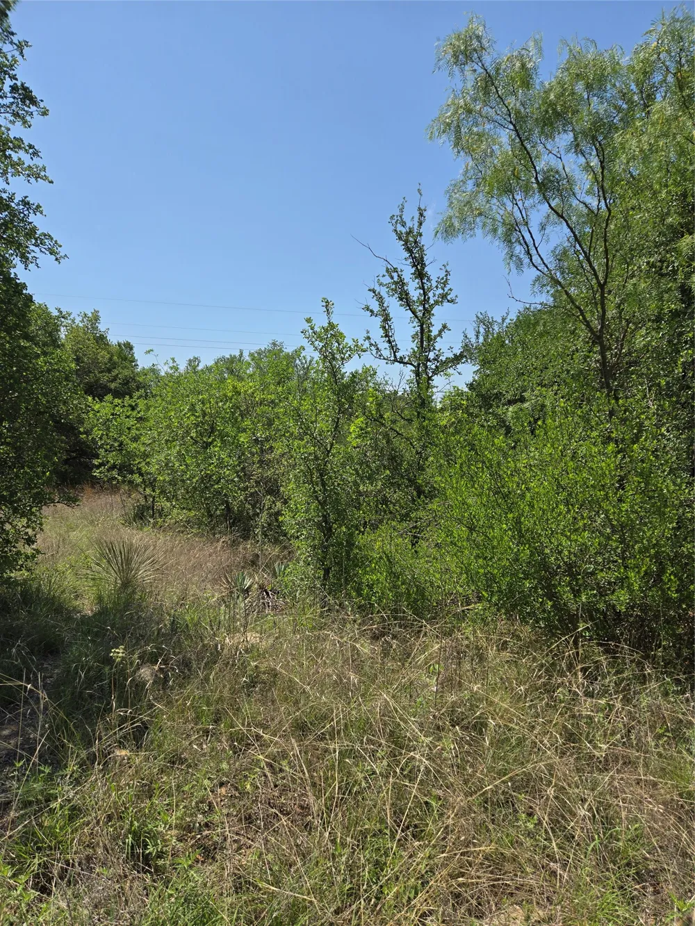7143 Dillard Drive Brownwood, TX 76801