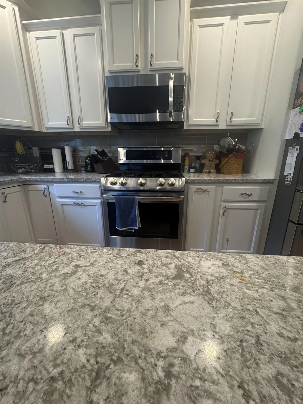 2806 Bilbrael Drive Mt Pleasant City, MI 48858