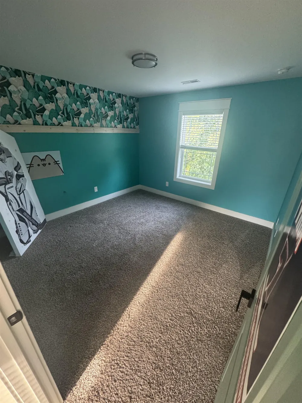 2806 Bilbrael Drive Mt Pleasant City, MI 48858