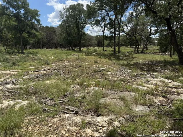 30602 KRUEGER RD Bulverde, TX 78163