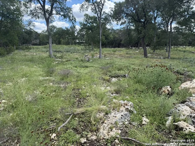 30602 KRUEGER RD Bulverde, TX 78163