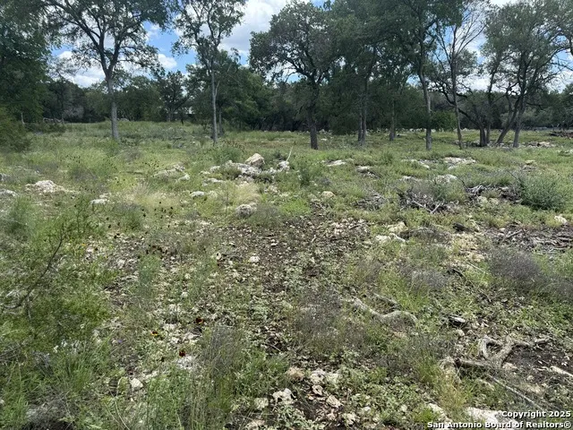 30602 KRUEGER RD Bulverde, TX 78163