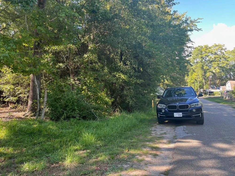 Impala Drive Onalaska, TX 77360