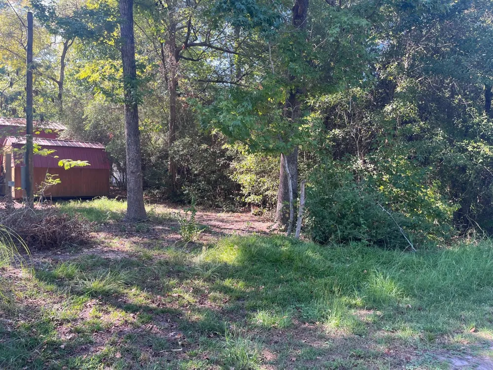 Impala Drive Onalaska, TX 77360