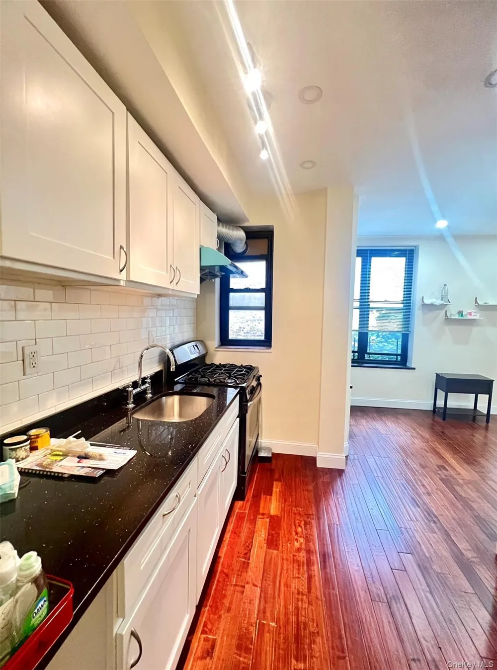 82-01 Britton Avenue #5K Elmhurst, NY 11373