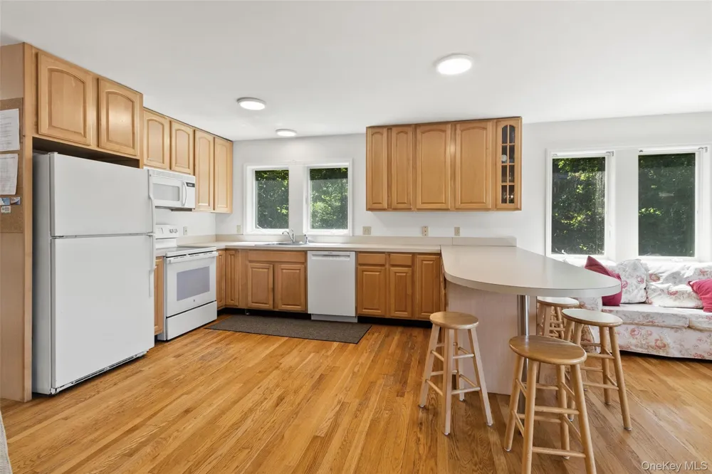 64 Lillian Road Mahopac, NY 10541