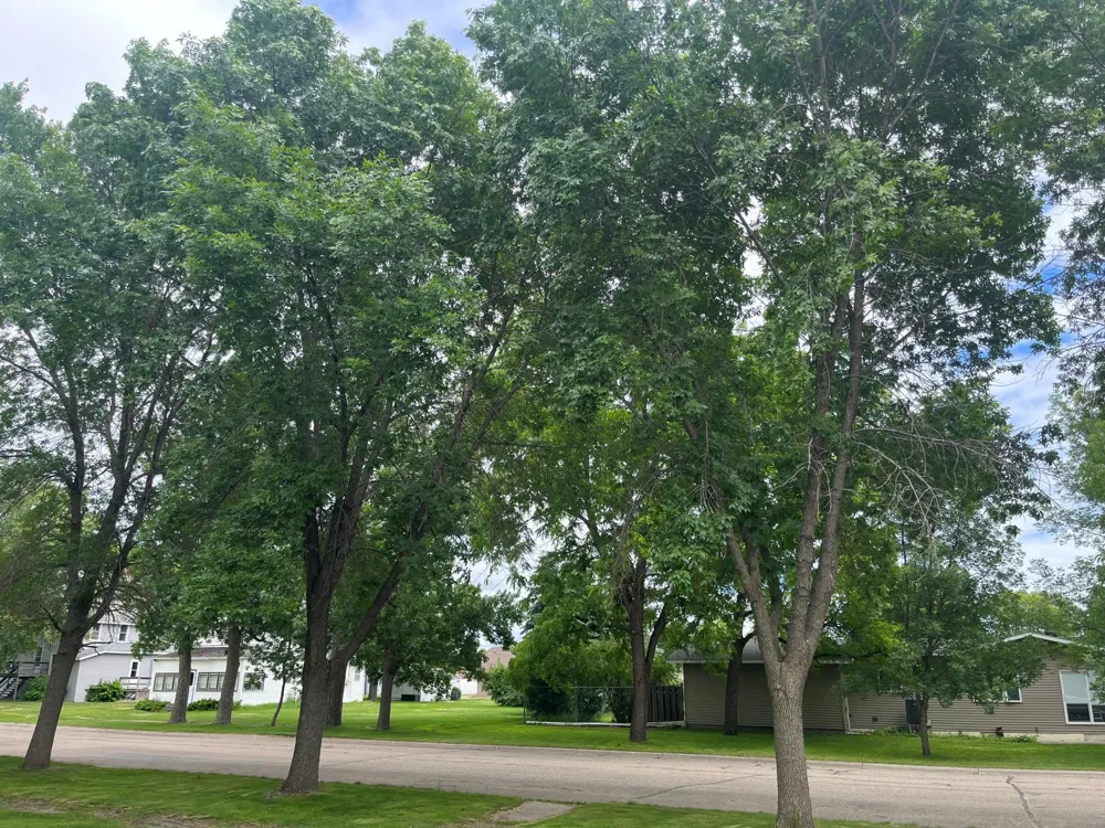 408 1st Avenue SW Hankinson, ND 58041