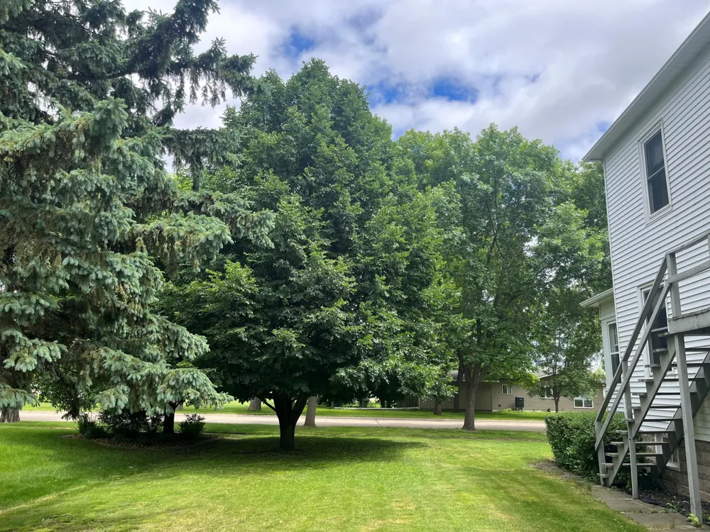408 1st Avenue SW Hankinson, ND 58041