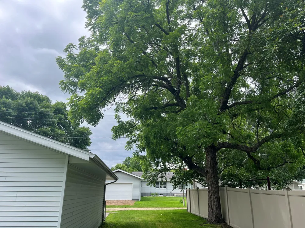 408 1st Avenue SW Hankinson, ND 58041