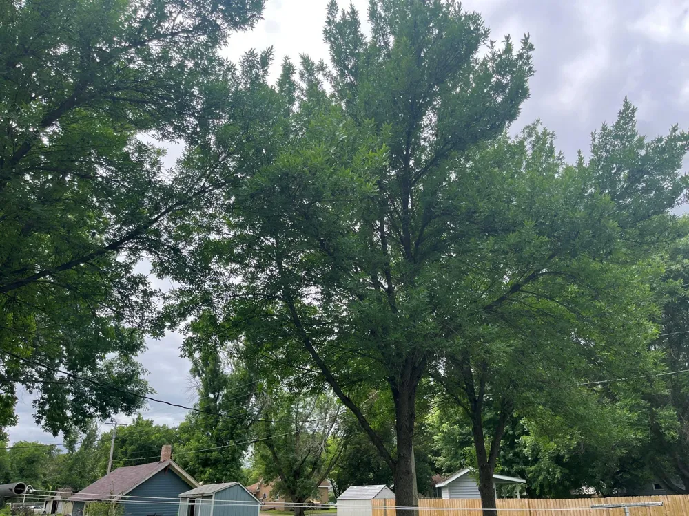 408 1st Avenue SW Hankinson, ND 58041
