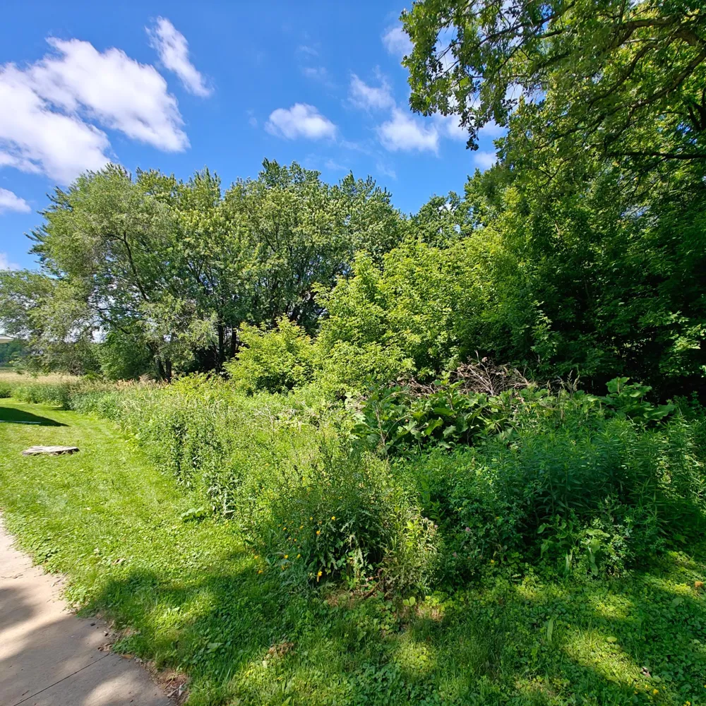 18 Westwood Circle Hopkins, MN 55305