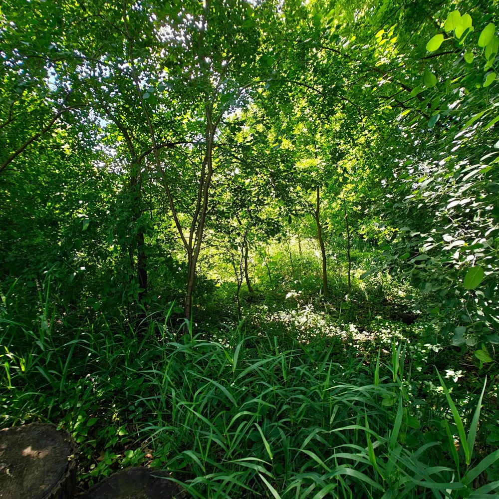 18 Westwood Circle Hopkins, MN 55305