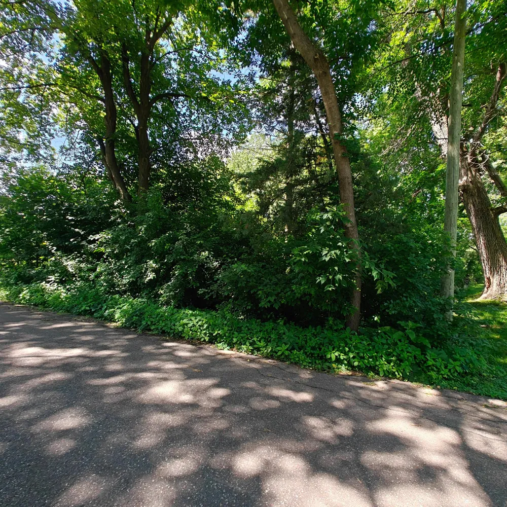 18 Westwood Circle Hopkins, MN 55305