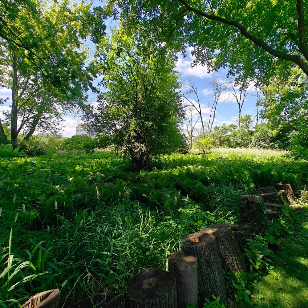 18 Westwood Circle Hopkins, MN 55305