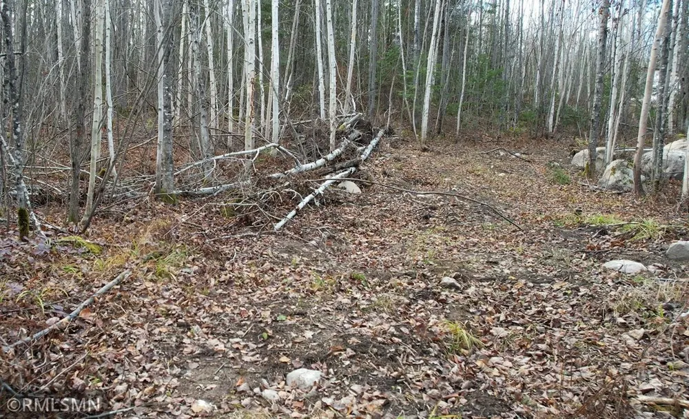 Lot 1 Boulder Ridge Road Cook, MN 55723