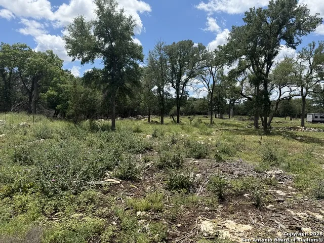 30602 Krueger Bulverde, TX 78163