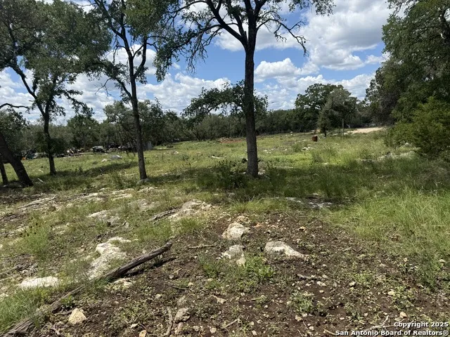 30602 Krueger Bulverde, TX 78163