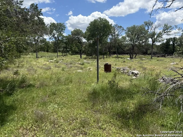 30602 Krueger Bulverde, TX 78163