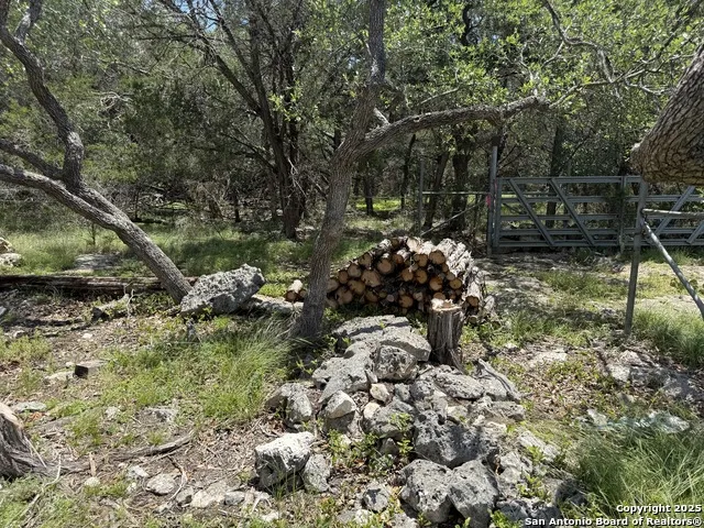 30602 Krueger Bulverde, TX 78163