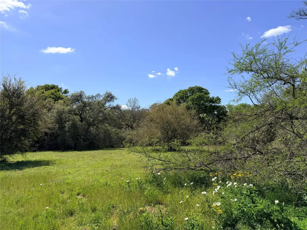 Loose Cow Rd Garwood, TX 77442