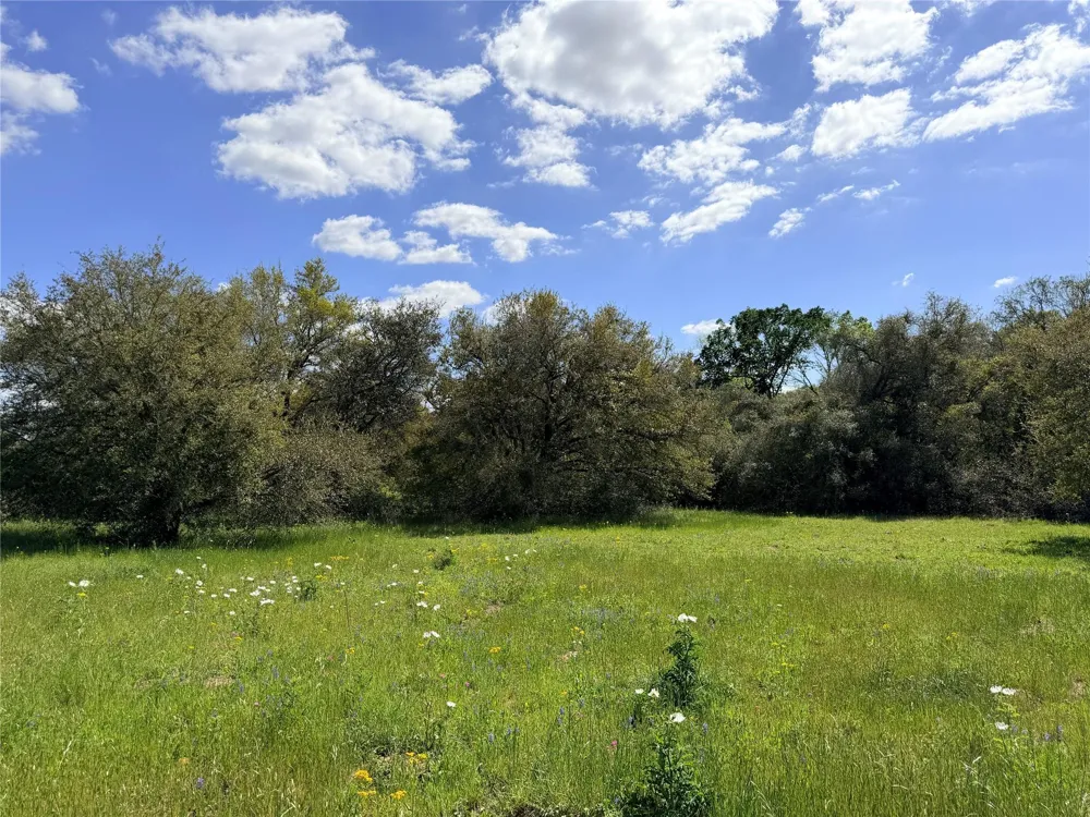 Loose Cow Rd Garwood, TX 77442
