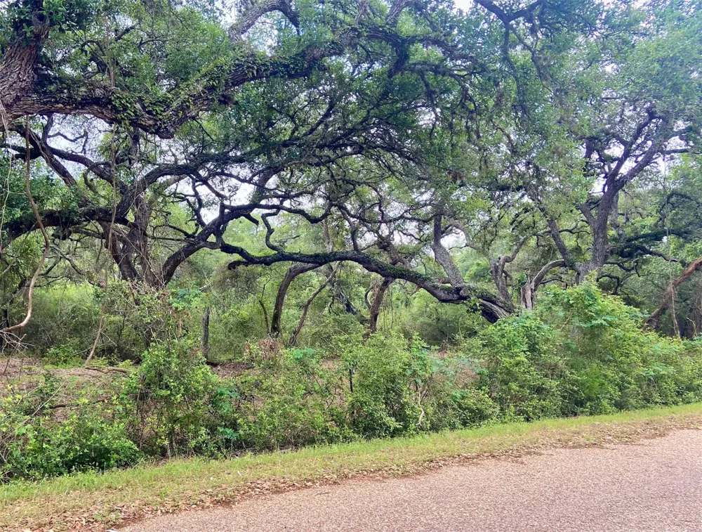Loose Cow Rd Garwood, TX 77442
