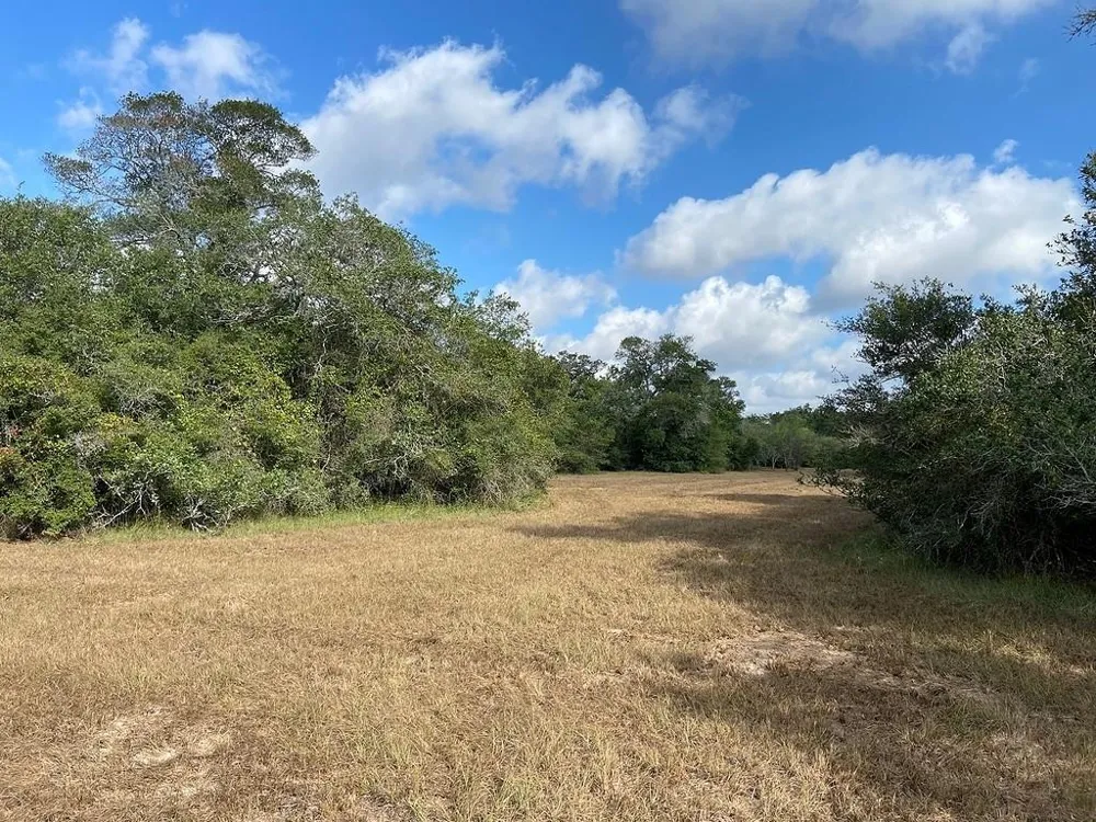 Loose Cow Rd Garwood, TX 77442