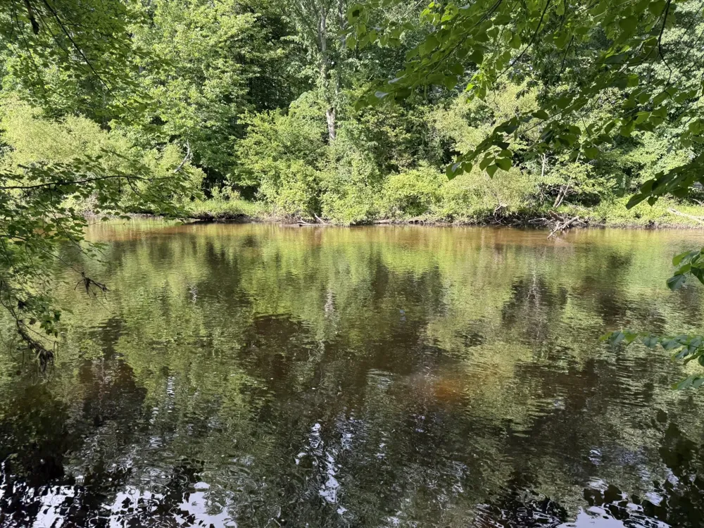 9034 E M 20 Newfield Township, MI 49421