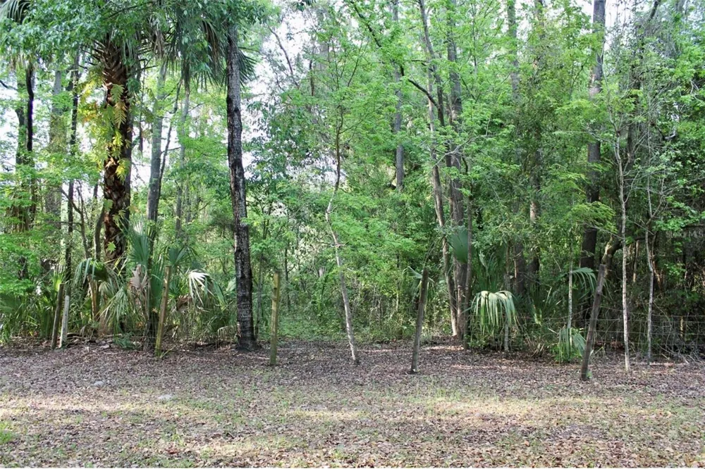 3700 SE 183RD AVENUE ROAD Ocklawaha, FL 32179