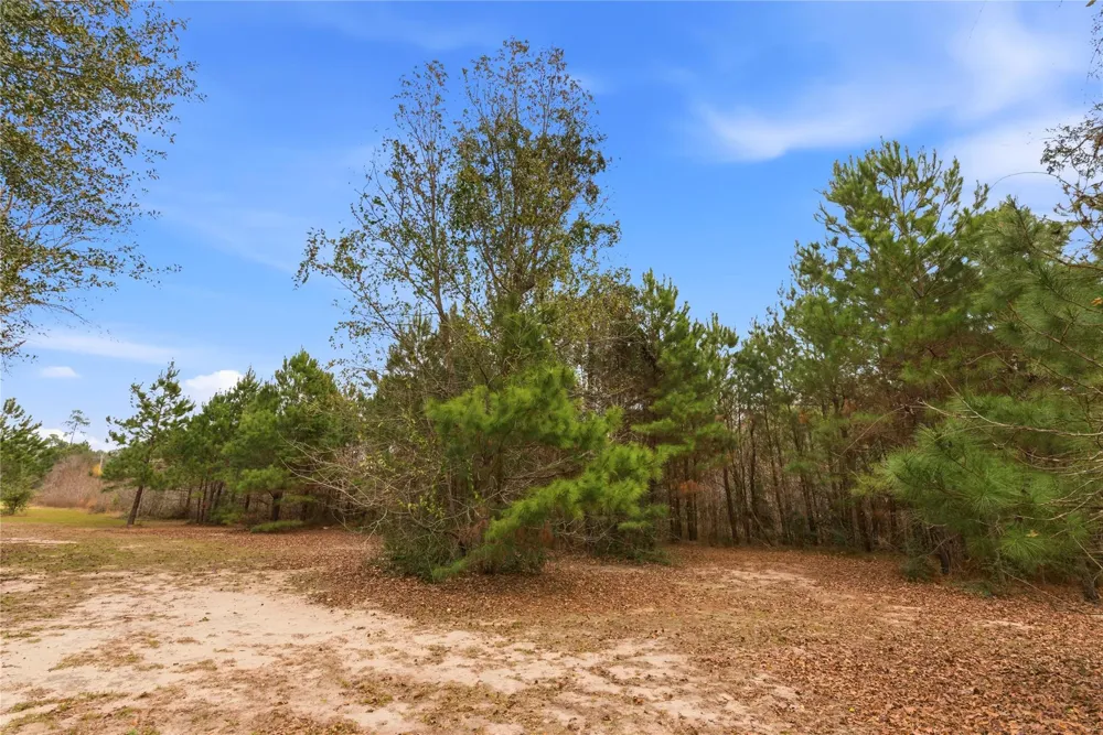 1603 Baker Drive Tomball, TX 77375