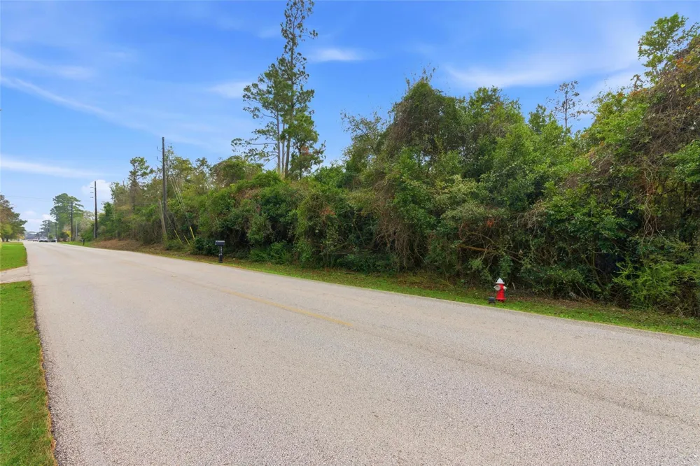 1603 Baker Drive Tomball, TX 77375