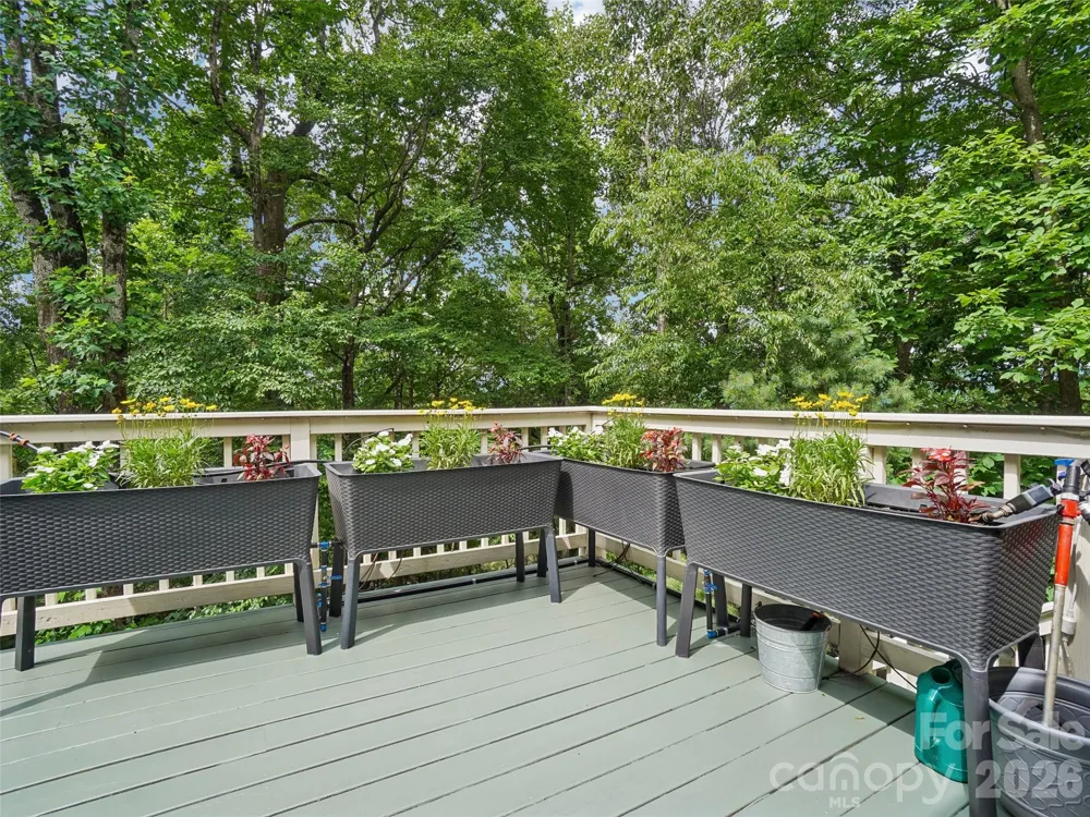 10 Chestnut Top Circle Mills River, NC 28759