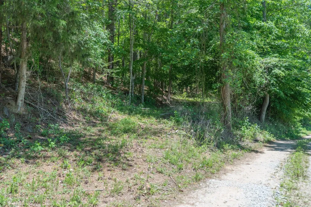 99999 Thompson Lake Road Rutherfordton, NC 28139