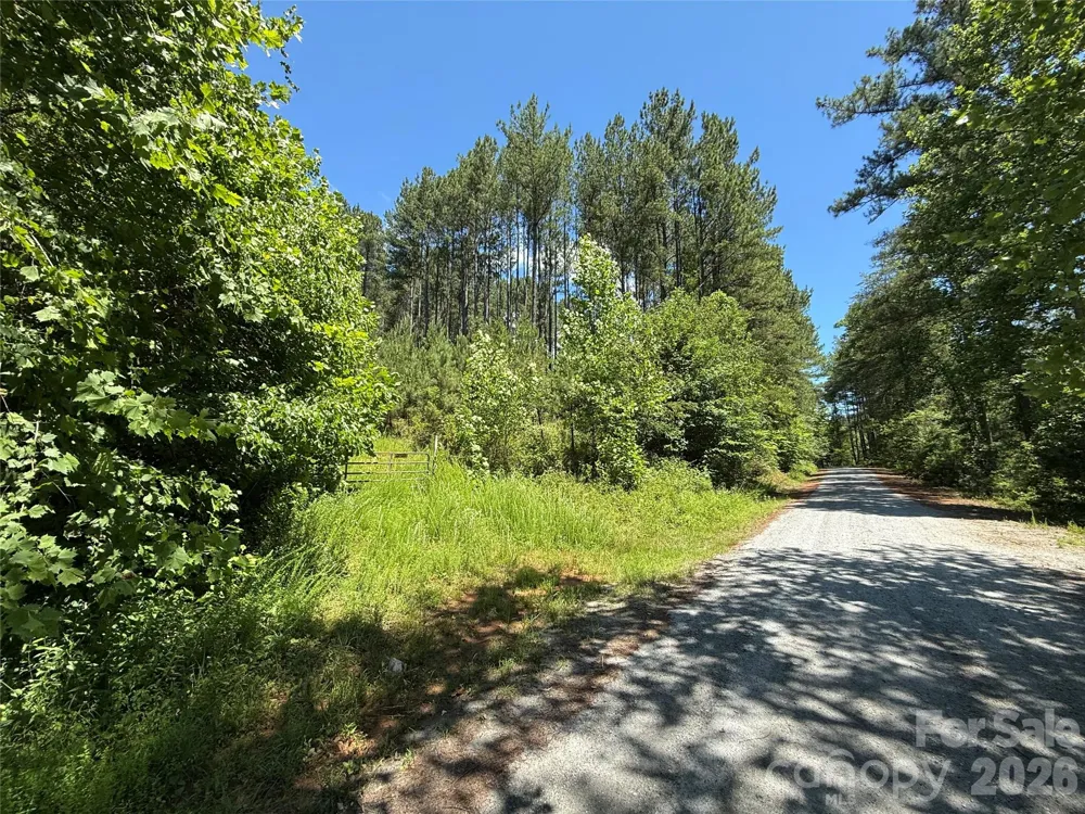 99999 Thompson Lake Road Rutherfordton, NC 28139