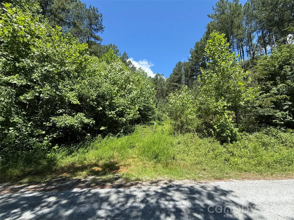 99999 Thompson Lake Road Rutherfordton, NC 28139