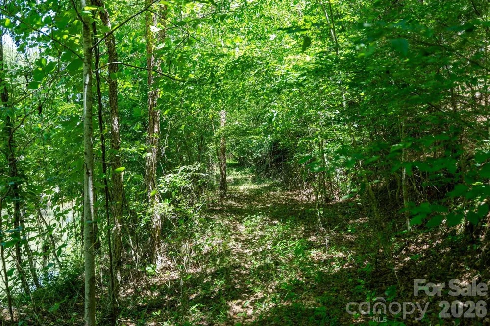 99999 Thompson Lake Road Rutherfordton, NC 28139