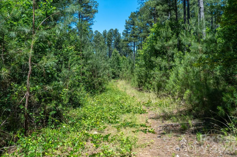 99999 Thompson Lake Road Rutherfordton, NC 28139