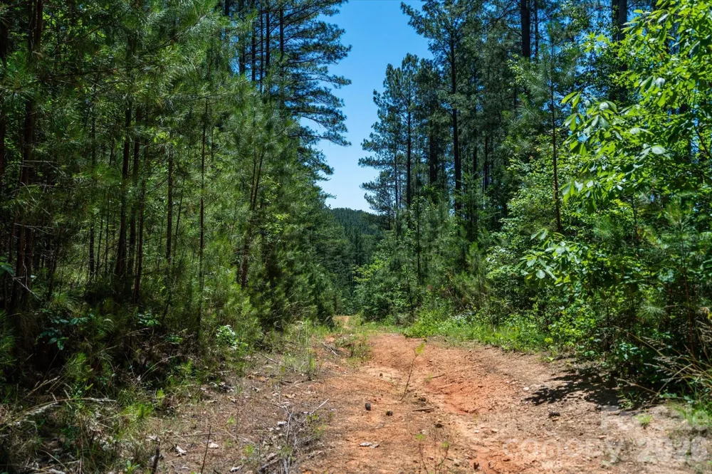 99999 Thompson Lake Road Rutherfordton, NC 28139