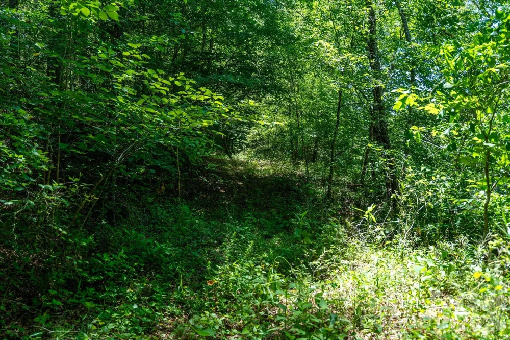 99999 Thompson Lake Road Rutherfordton, NC 28139