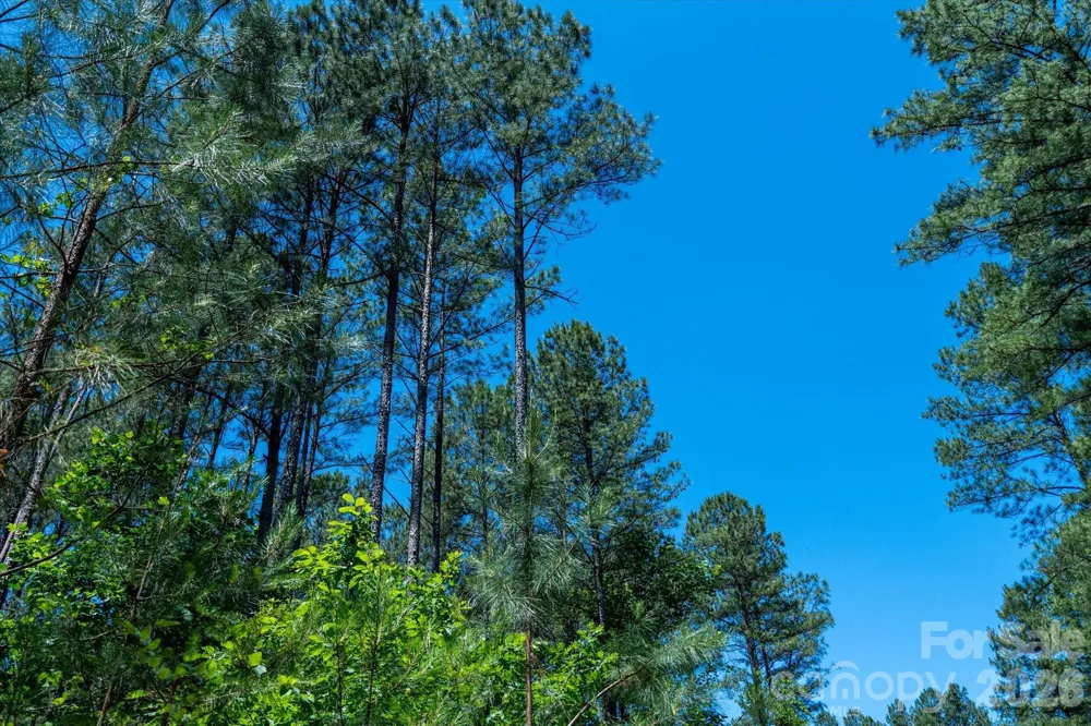 99999 Thompson Lake Road Rutherfordton, NC 28139