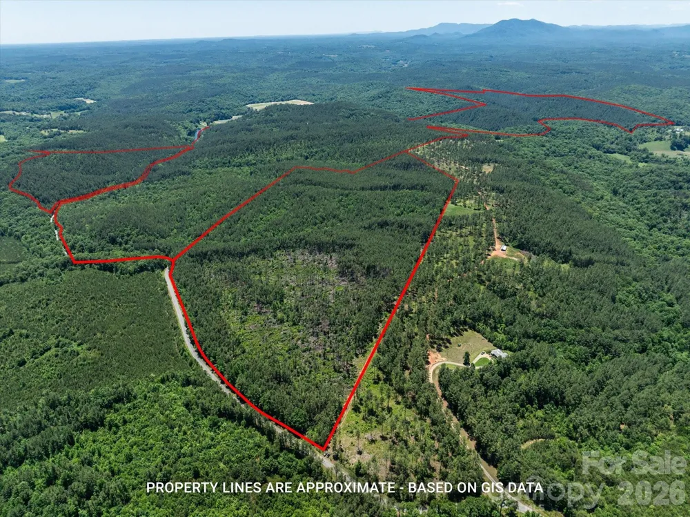 99999 Thompson Lake Road Rutherfordton, NC 28139