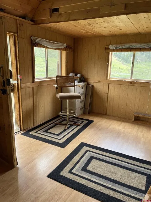 820 County Road 9 Silverton, CO 81433