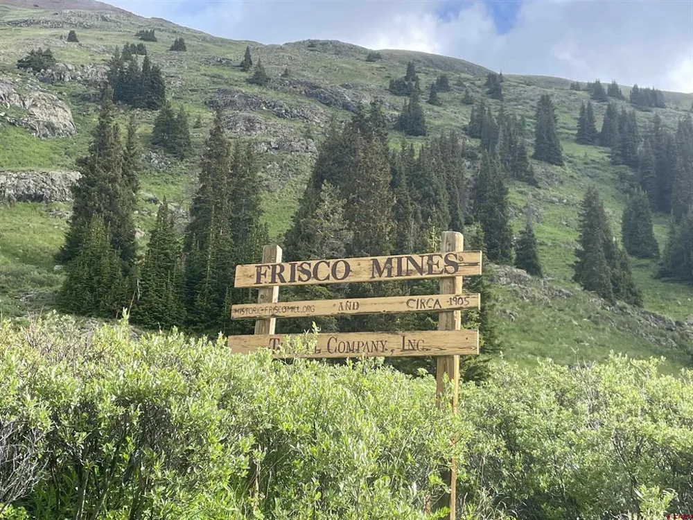820 County Road 9 Silverton, CO 81433